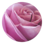 Mauve Rose Valentine's Day Stickers