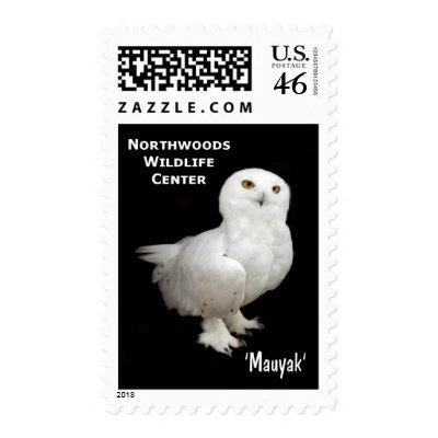 Mauyak - Snowy Owl Postage by Northwoods