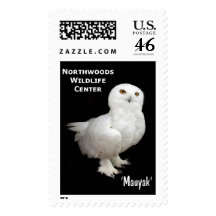 Mauyak - Snowy Owl Postage