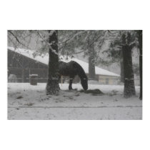 Maverick in the snow posters by Trebor43 Maverick in the snow posters