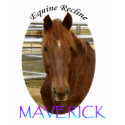Maverick Women's Shirt by EquineRecline Maverick Women's Shirt
