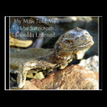 "Maw Knows Best" postcards
