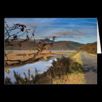 Mawddach Estuary cards