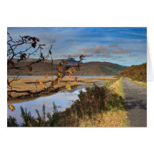 Mawddach Estuary Greeting Cards