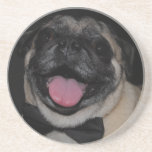 Max Coaster