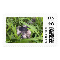 Max in the Grass postage