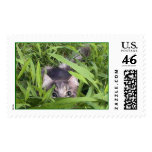 Max in the Grass Postage Stamps