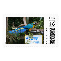 Max postage