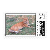 max postage