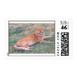 max postage