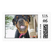 max postage