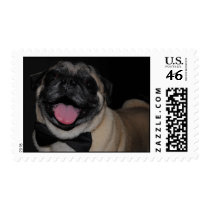 Max Postage Stamps