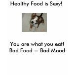 max puppy, Healthy Food is Sexy!, You are what ... t-shirts