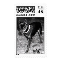 Max the Min Pin postage
