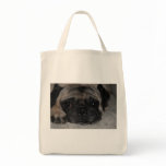 Max The Pug On A Rug Bags