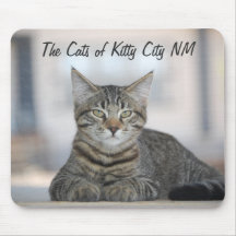 Maximiano 1, The Cats of Kitty City NM Mouse Pads
