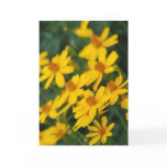 "Maximilian's Sunflower" Greeting Card