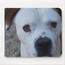 Maximus Mouse Pad