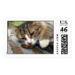 Maxine cuddles with a cicada postage
