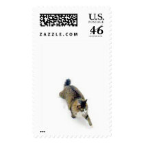 Maxine in the Snow stamps