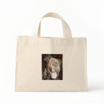 Maxwell bags