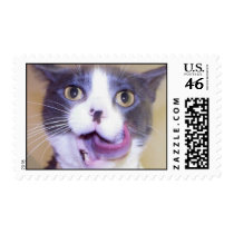 Maxwell Edison postage