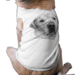 Maxwell, Lab-Pitbull Mix pet clothing