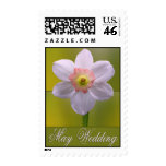 May Daffodil  Wedding Postage