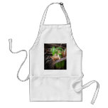 May Fiddleheads