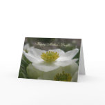 May Flower, Happy Mother's Day cards