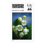 May Flowers Stamp