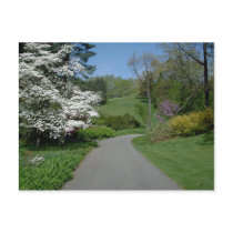 May Flowers postcards