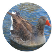 May I _ Stickers _ by Elenne Boothe by ELENNE May I _ Stickers _ by Elenne Boothe