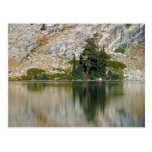 May Lake Reflectionsin Yosemite National Park Post Cards