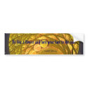 May Moon Bumper Sticker bumper stickers