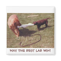 MAY THE BEST LAB WIN! magnets