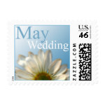 May Wedding Daisy Invitation Postage stamp