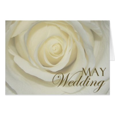 May Wedding Rose Cards by aslentz