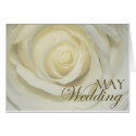 May Wedding Rose cards by aslentz May Wedding Rose cards