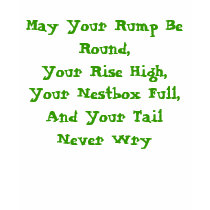 May Your Rump Be Round,Your Rise High,Your Nest... t-shirts