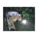 maya and stella on october 5 2007 postcards