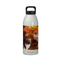 Maya con deer_Painting.jpg Botallas De Agua