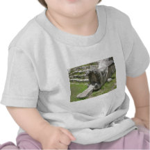Mayan Snake T-shirt