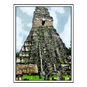 Mayan Temple at Tikal, Quatemala posters
