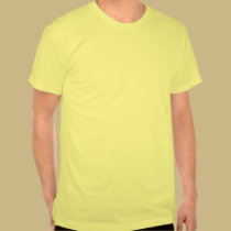 Mayan Turtle t-shirts