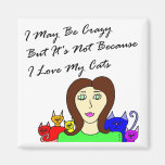 Maybe Crazy Cat Lady Sqaure Refrigerator Magnets