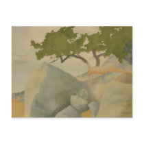 Mayne Island Arbutus postcards