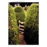 Maze Walk Card