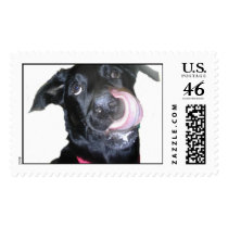 Mazie Marie postage by dabanker1976 Mazie Marie postage