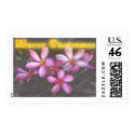 mc217 postage